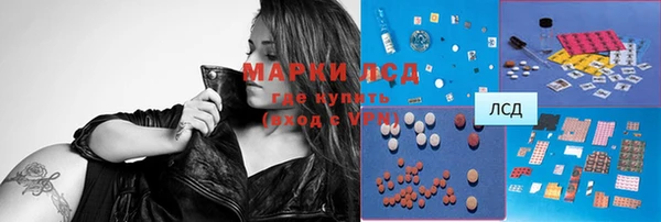 ГАЛЛЮЦИНОГЕННЫЕ ГРИБЫ Липки