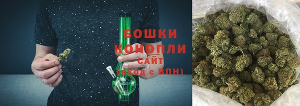 ГАЛЛЮЦИНОГЕННЫЕ ГРИБЫ Липки