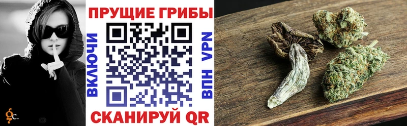 Псилоцибиновые грибы MAGIC MUSHROOMS  Жуков 